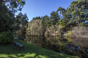 Image of Escape to Valley View Nature Retreat – A Hidden Sanctuary in Apollo Bay
