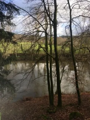 Image of Unique & serene 1-Bed Cabin close to Domfront