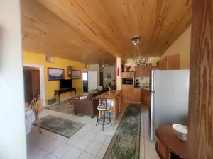 Image of Bohemian Tree Casa