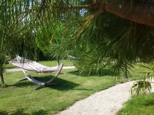 Image of REST AND RELAXATION AT THE COTTON ORCHARD. Free parking.