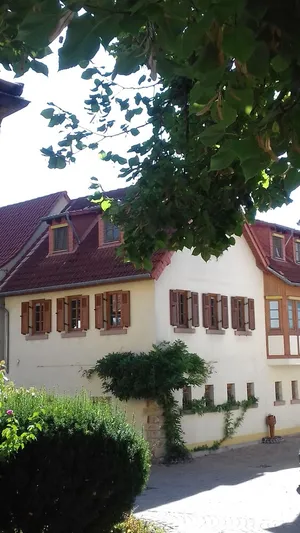 Image of Holidays in the idyllic wine-growing village near Freinsheim
