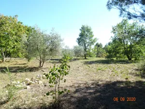 Image of Authentic detached Provencal mazet with swimming pool