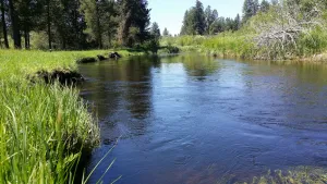 Image of Little Deschutes River Family Retreat - Fun for the whole Family!