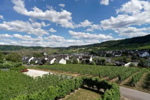Image of Ferienwohnung \"laurentiusblick\" mit Panoramablick in den Weinbergen von Leiwen