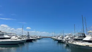 Image of Foreshore Paradise Nelson Bay