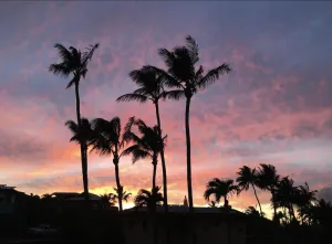 Image of Newly renovated 2nd floor condo — 150 yards from Mama’s Beach!
