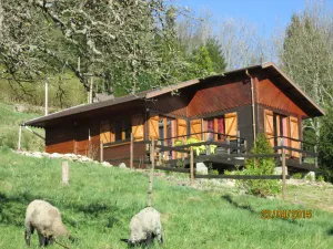 Image of Cozy country chalet 20 km from Gérardmer