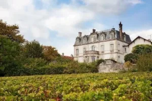 Image of Chateau de Mercurey. 8 luxury  bedrooms with ensuite bathrooms. heated pool.