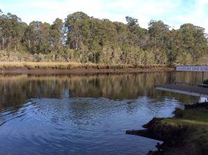 Image of Nestled on the picturesque Leven River