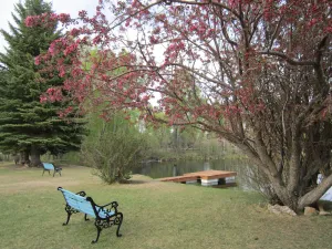 Image of Spacious House North of Gunnison, Close to the Bus Stop.