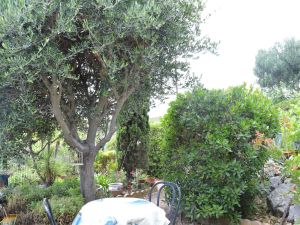 Image of Villa Fleury-Saint-Pierre-la-Mer, 3 bedrooms, 6 persons