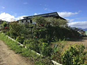 Image of Art House