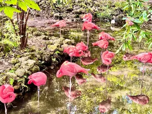 Image of GolfCart|Kayaks|HotTub|DogOk|Sleeps8|OldHomosassa|Fenced1AcreYard|GatedDrive