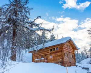 Image of Magnificent large chalet on the slopes more information <br>La gouille à l'ours