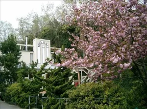 Image of Downtown Port Townsend - Hillside Penthouse Vacation Rental