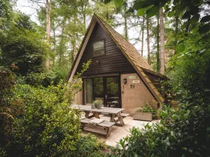 Image of Boshuisje Boris is a cosy 6-person holiday home
