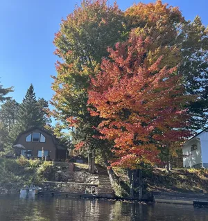 Image of Tranquil waterfront home