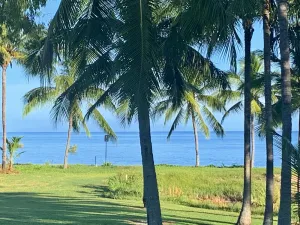 Image of Beach front