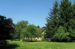 Image of An authentic Percheron house: fireplace, beams, terracotta floor tiles, a large park