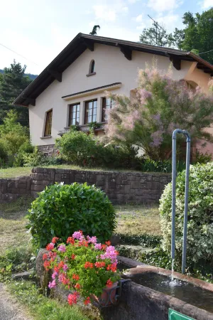 Image of Gite de la Fontaine: gite *** on the heights of Val d´Argent center Alsace