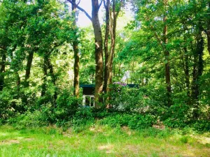 Image of Boshuisje In the middle of nowhere