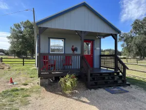Image of The Coop.  A lil taste of country with horses and chickens.