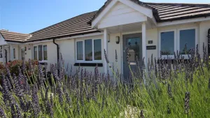Image of Lavender, walking distance of Wadebridge Town