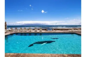 Image of Lahaina Roads Suite 212 - OCEANFRONT Property gorgeous views- 1 Bed 1 Bath Condo