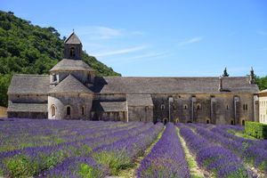 Image of 10' from St Rémy and Avignon, charming apartment ***, 2 bedrooms for 4 people