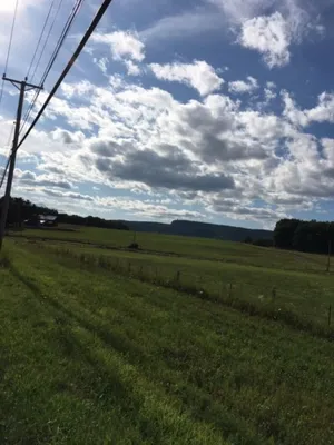 Image of Renee's Get-Away New Paltz