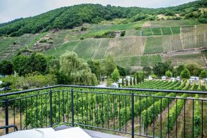 Image of Ruhig Gelegenes Ferienhaus mit Sauna Direkt an der Mosel