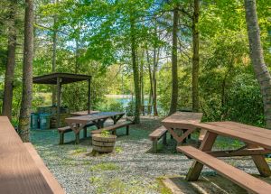 Image of Cozy Cabin #12 - Sleeps 6 - Full kitchen + fireplace - between Boone & Blowing Rock NC