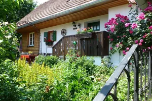 Image of Vacation home with wood-burning stove and infrared cabin nestled in a large natural garden
