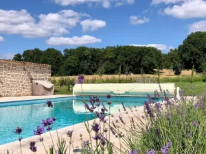 Image of La Chouette