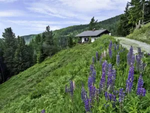 Image of Holiday Home Lotte by Interhome
