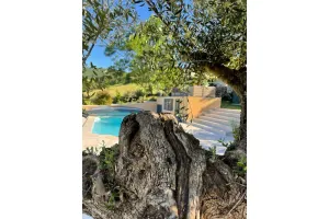 Image of Le petit Chacel