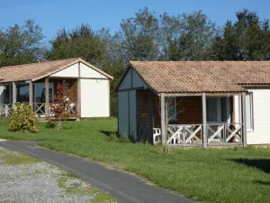 Image of Le gardon