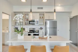 Image of Executive 1BR\/1BA CoWorking Dream Space