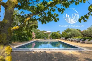 Image of Maison Cantalauze, two houses at a heart of a vineyard