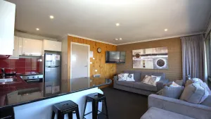 Image of Snowy Saga 1 46 Gippsland Street