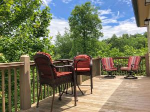 Image of Twisted Vines Cabin -Tiny Home Near Watauga Lake