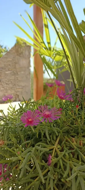 Image of Gites Jacuzzi et Jardin Privé