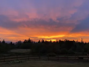 Image of Lovely Mountain View Cottage with Hot Tub, close to amenities!