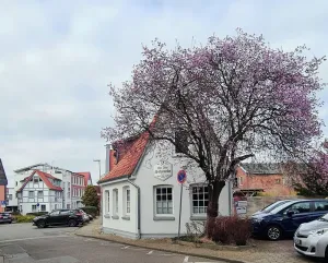 Image of Beautiful central vacation apartment in the Alte Schmiede Winsen (Luhe)