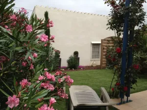 Image of Ensolellée house with garden. Deco. Contemporary and neat.