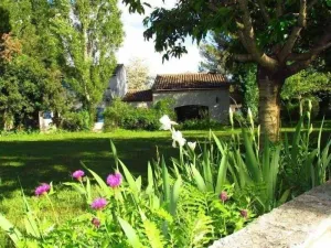 Image of Saint Maximin La Sainte Beaume: Character house