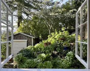 Image of Kentfield Haven - Adorable and Cozy Studio