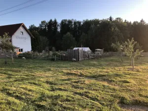Image of Allgäu peace and serenity in the middle of nature, on a donkey farm