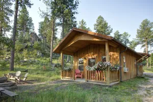 Image of Spectacular setting, amenities, and centrally located to Mt. Rushmore and Custer State Park, and hiking. WiFi. Excellent cell service (Verizon & ATT). Private campfire and fireplace. Off-season discounts. No extra fees.