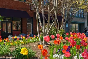 Image of Main Street Studio with free parking